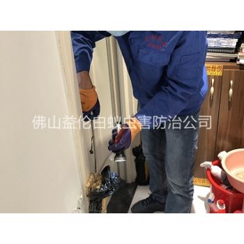 盐步上门防治白蚁工程